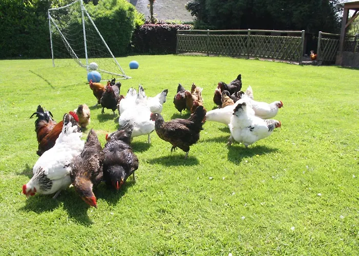 Tatil Evi L'ecurie D'hubert - Pferdestall By Interhome *